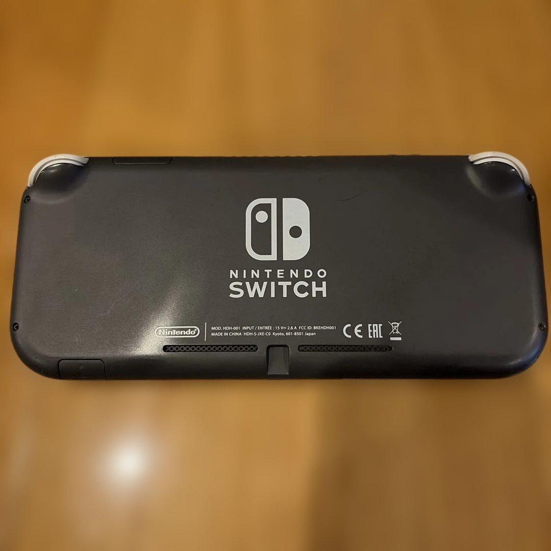 Nintendo Switch Lite ケース付き