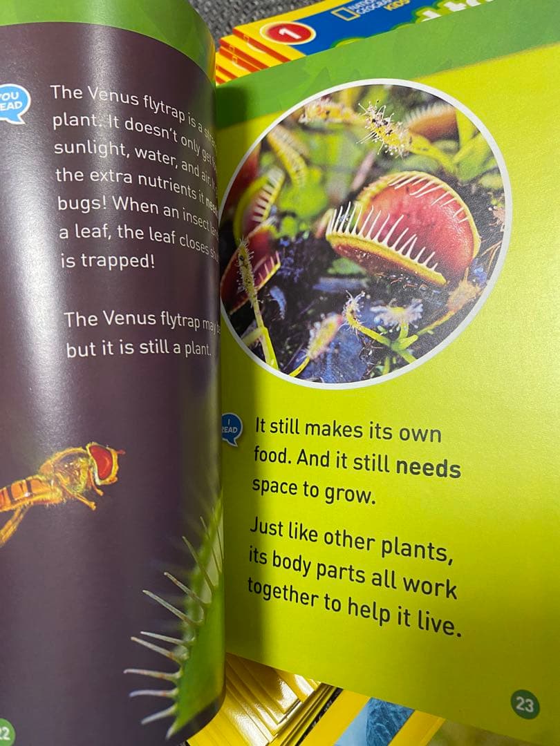 National Geographic KIDS セット