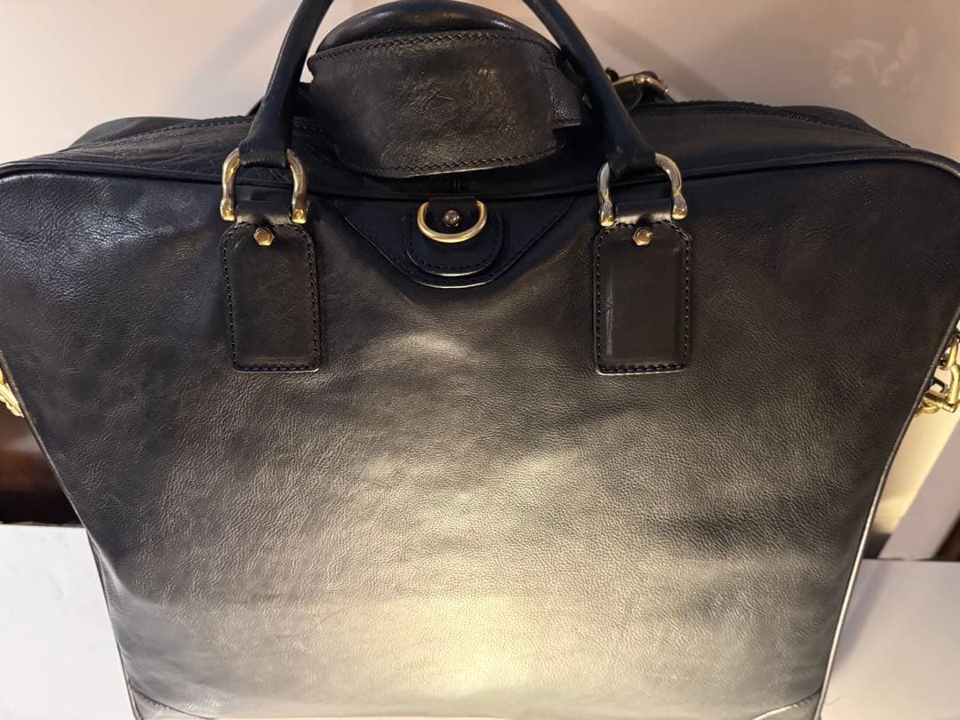 AIGNER アイグナー ガーメントバック