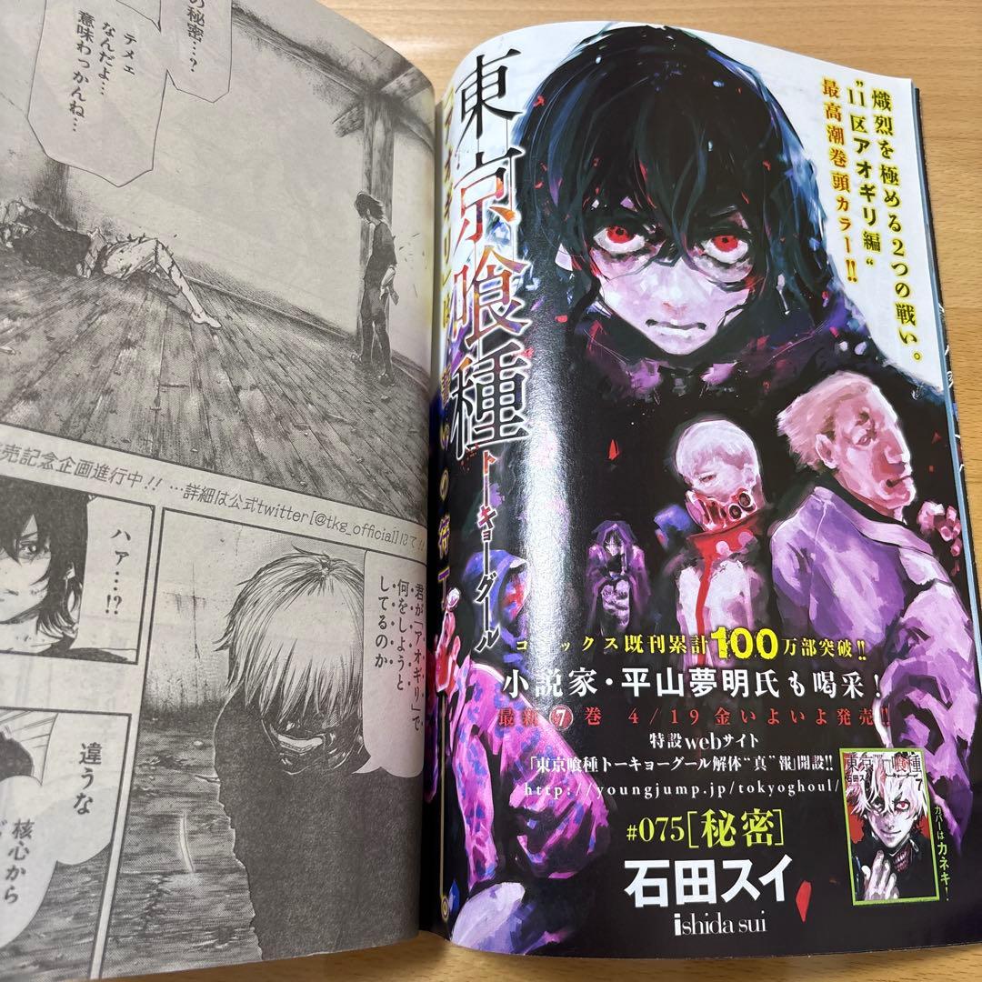 週刊ヤングジャンプ　2013年　No.20号