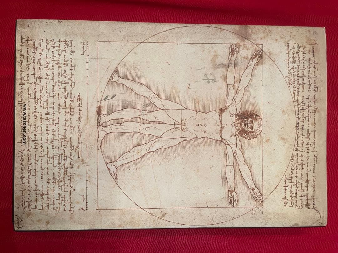 レオナルド　ダヴィンチ 全絵画作品　素描集 英語　フランク　ツォルナー
