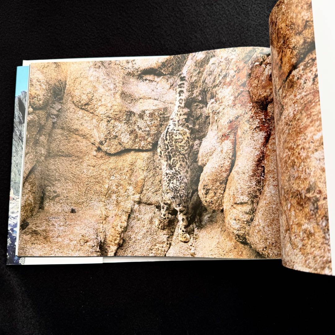【絶版】「神の獣 雪豹」秋山知伸 監修 2019年 ラーテルハート WWF