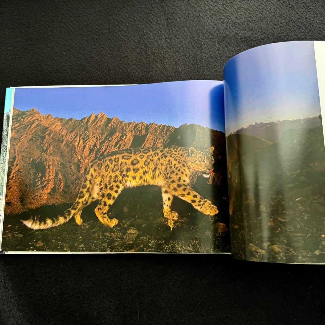 【絶版】「神の獣 雪豹」秋山知伸 監修 2019年 ラーテルハート WWF