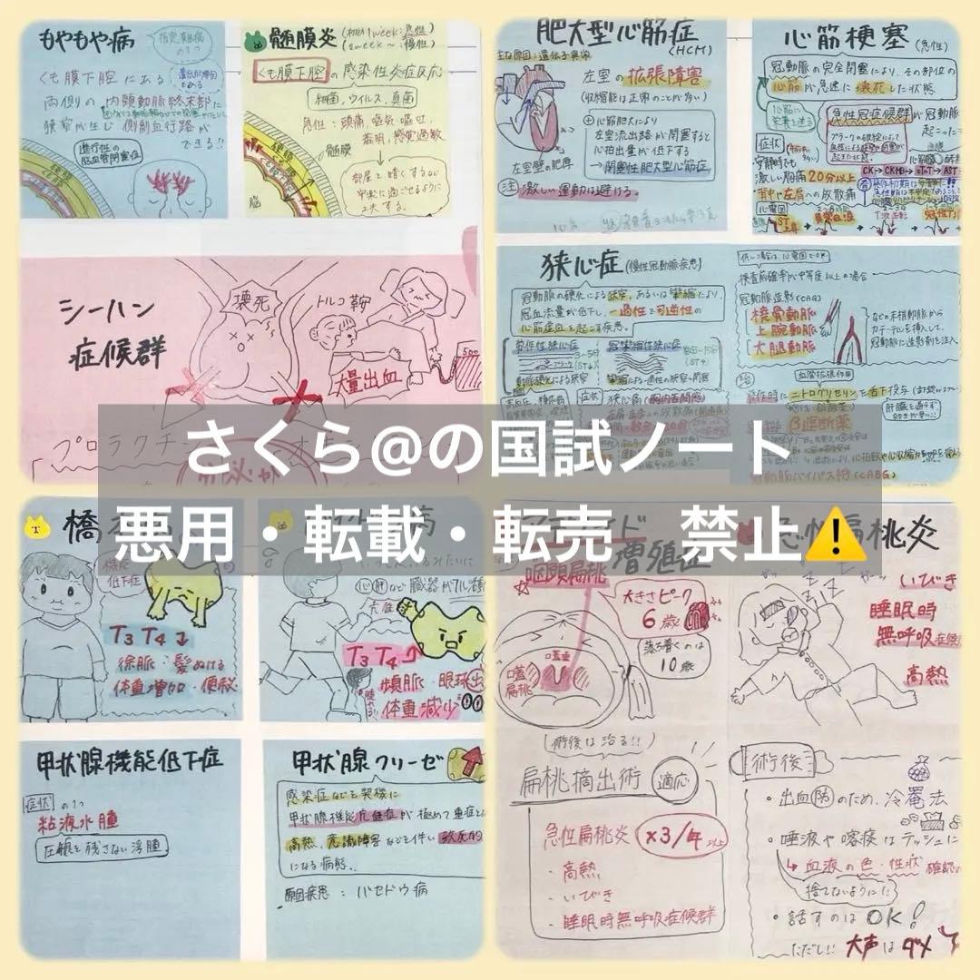 看護【国試対策ノート】【基礎】+【病態】A4サイズ余白あり！勉強・暗記に大活躍！
