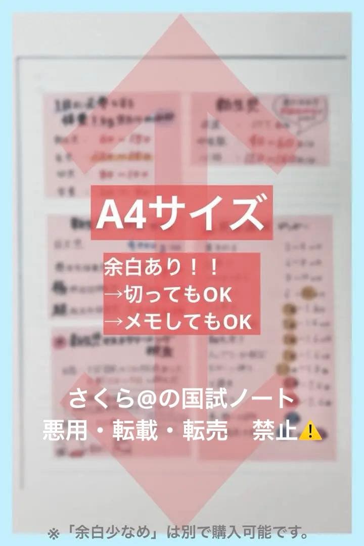 看護【国試対策ノート】【基礎】+【病態】A4サイズ余白あり！勉強・暗記に大活躍！