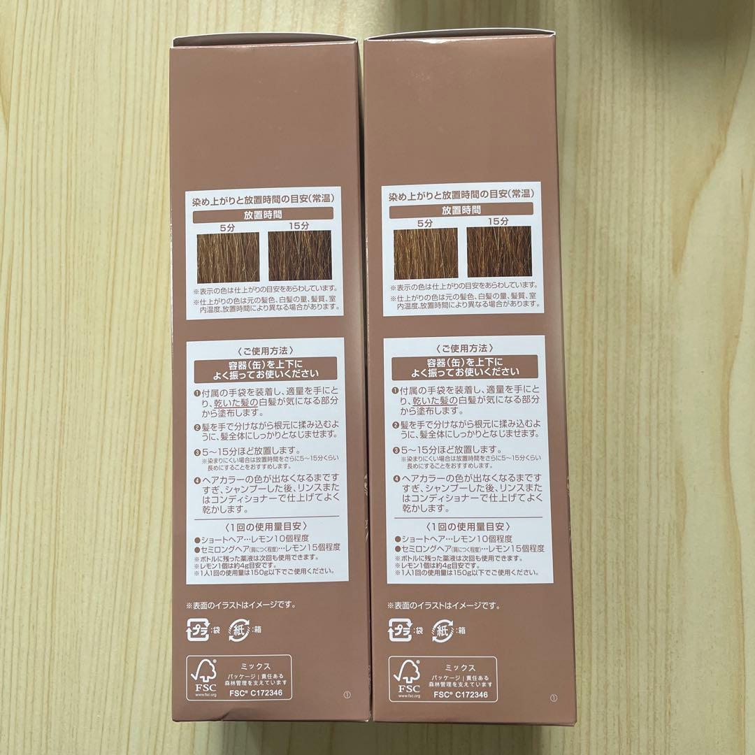 ÉCLAT ボタニカルエアカラーリングフォーム ライトブラウン 150g