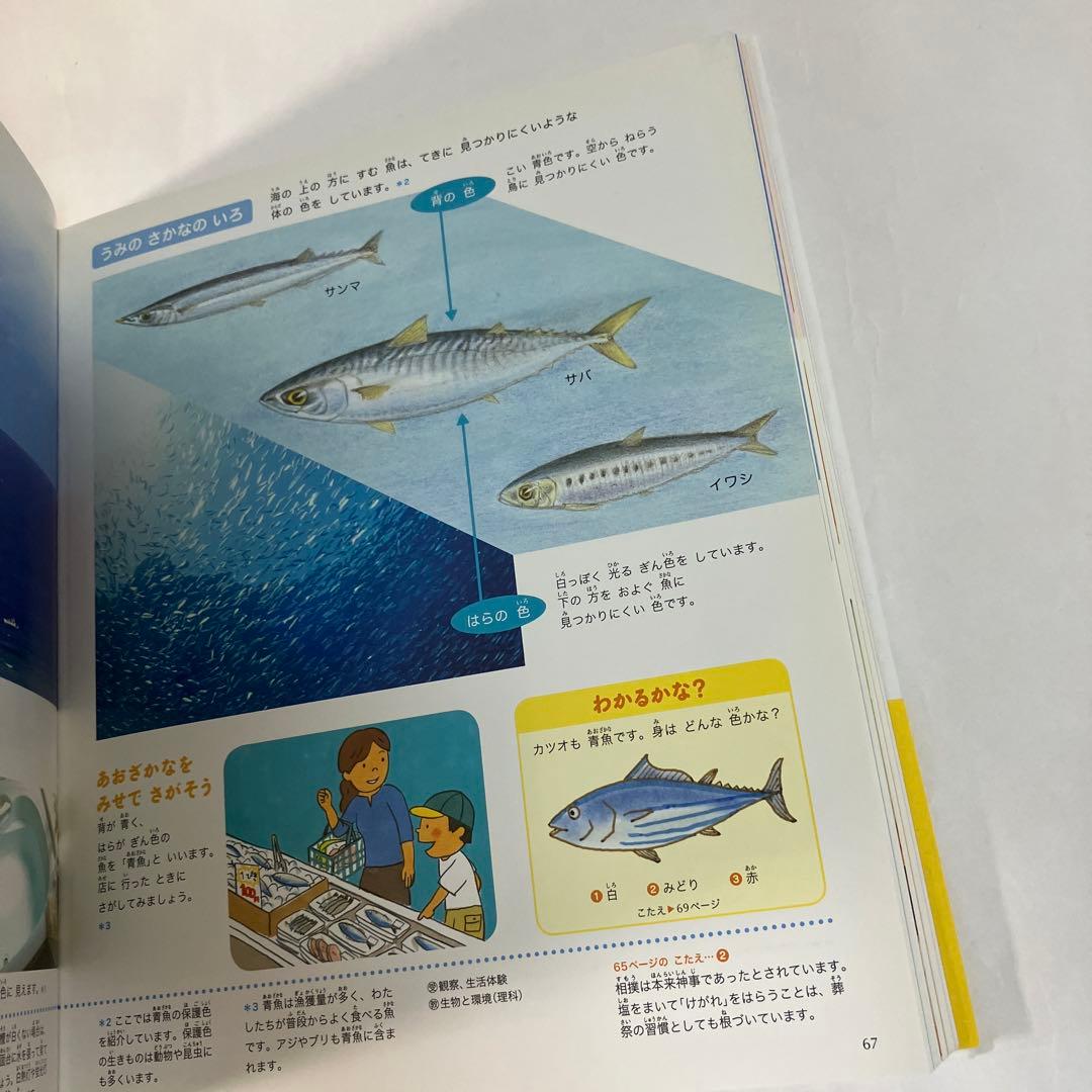 プレNEO 小学館　図鑑　まとめ　きせつの図鑑　かず　ふしぎの図鑑　お受験