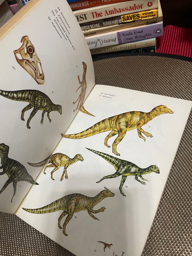 希少DINOSAURS L.B. Halstead Jenny Halstead
