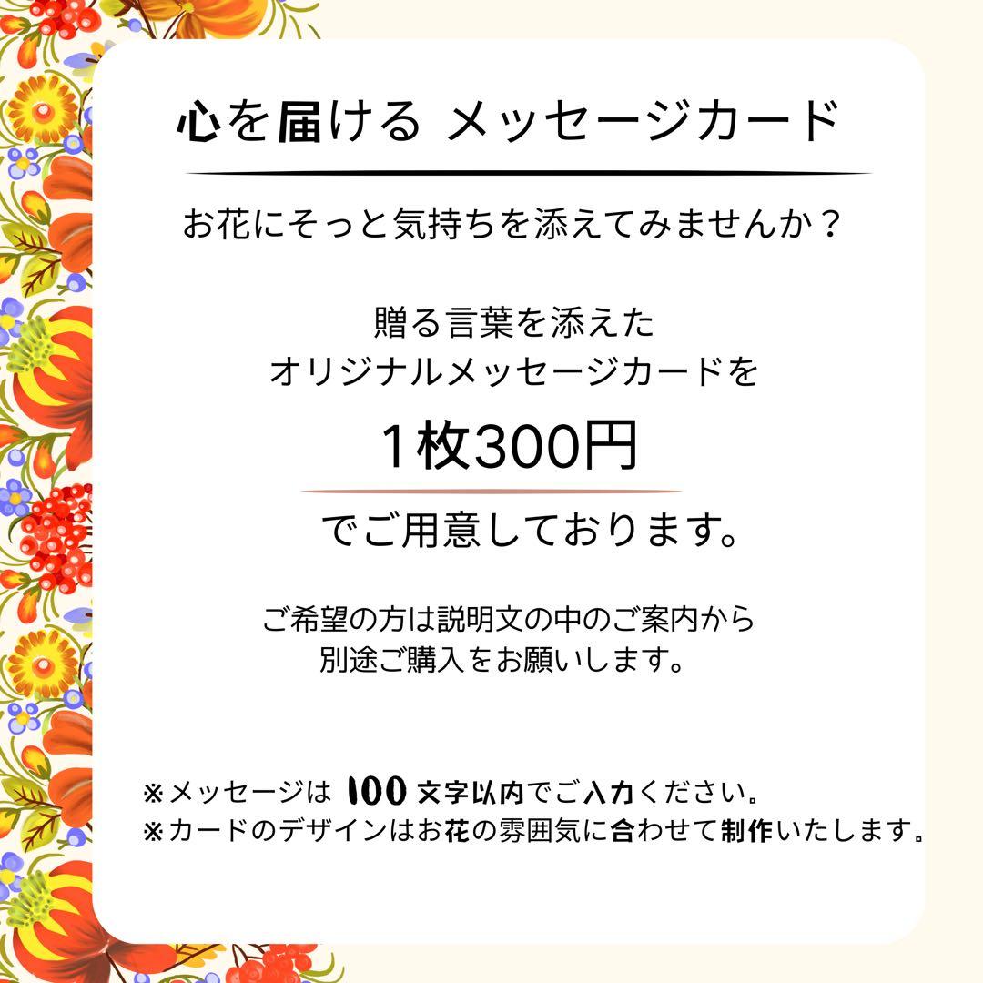 扇の華 しめ縄 アレンジメント〈タッセル付き〉　しめ縄リース しめ飾り 正月飾り