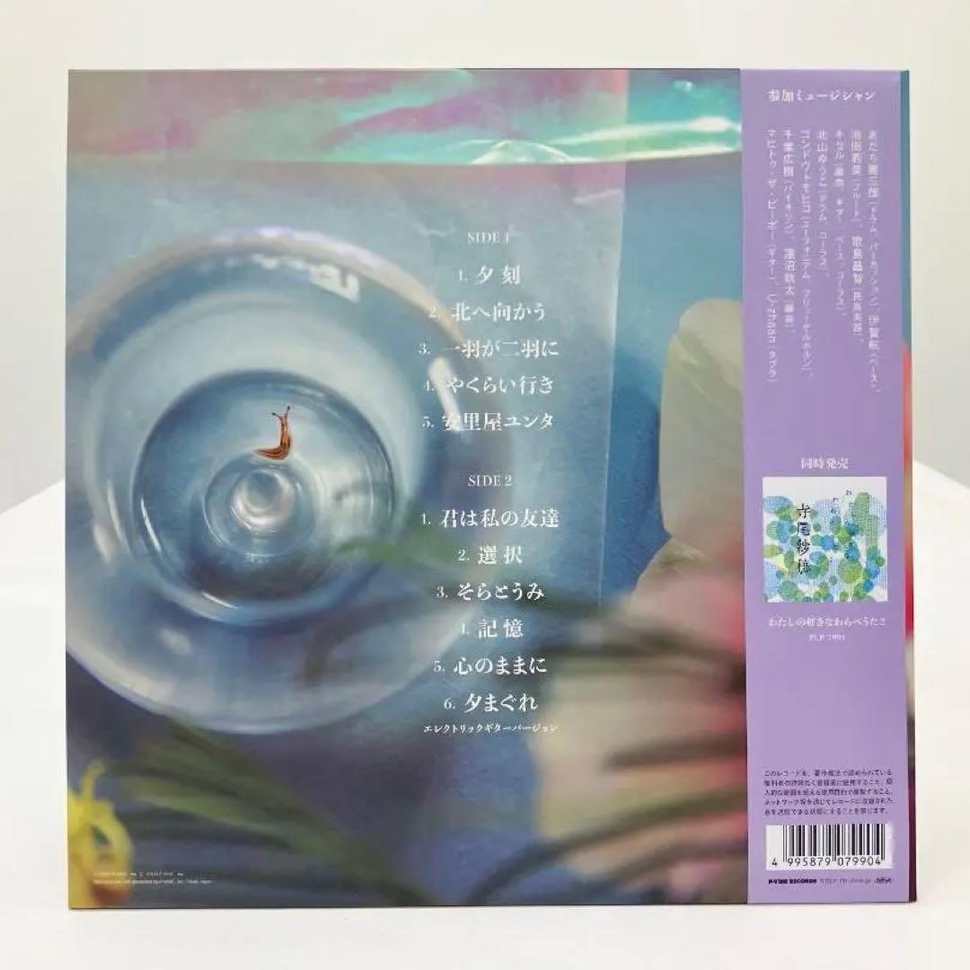 寺尾紗穂／北へ向かう 12inchレコード 【完全限定生産盤】