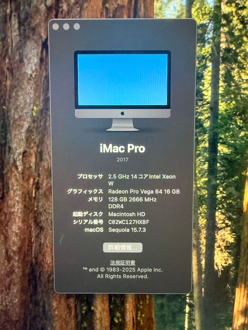 定価120万　iMacpro27グレー　メモリ124GB容量2TB超ハイスペック
