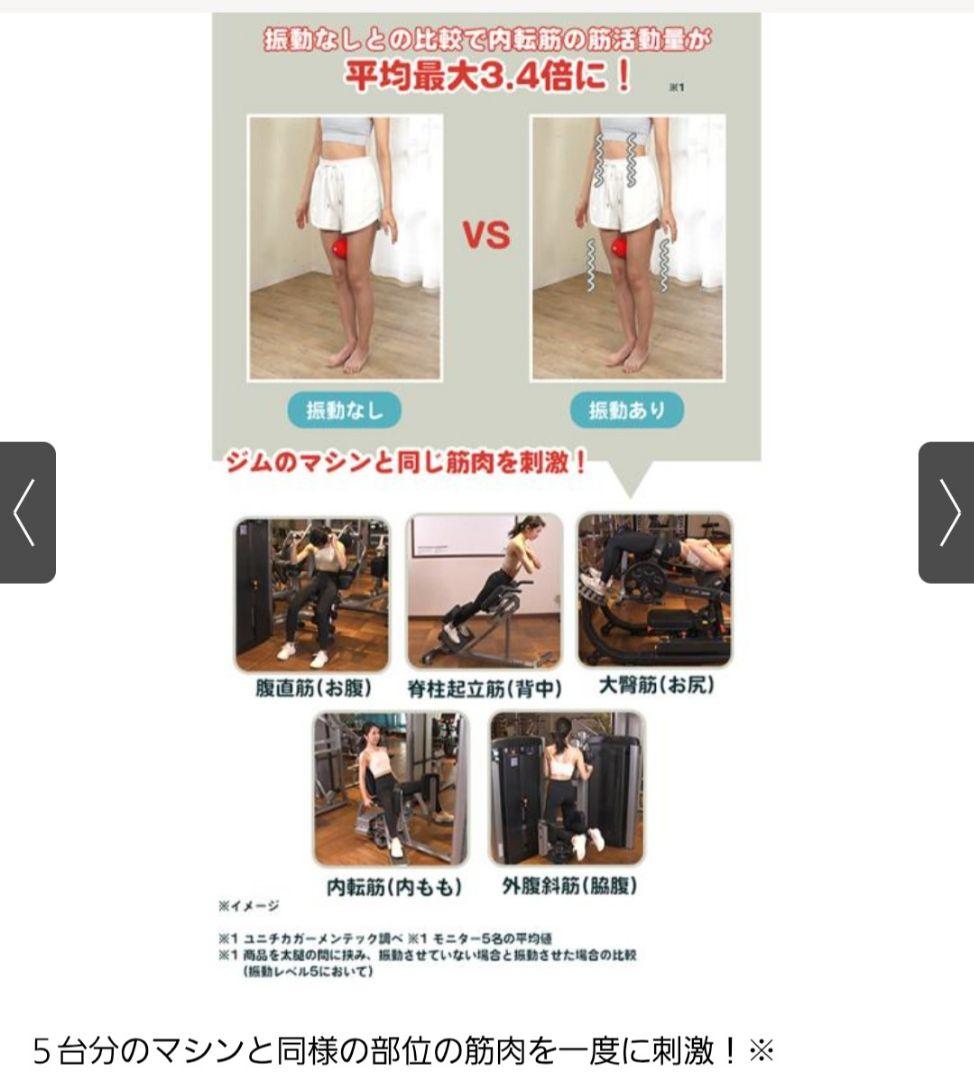 シェイプツインボール　振動マシン（5段階調整）東急スポーツオアシス OASIS
