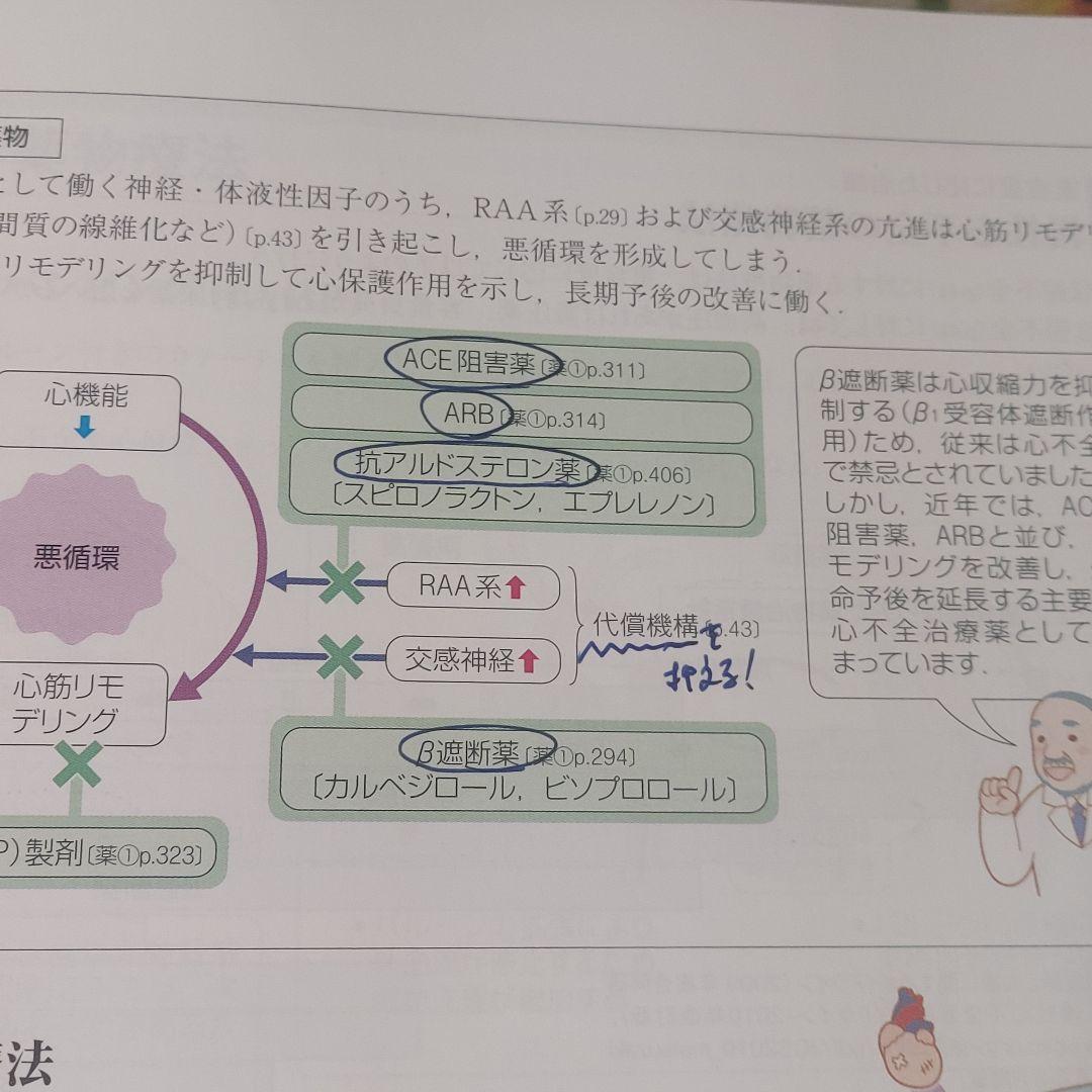 確認用 病気がみえる vol.2 第4版
