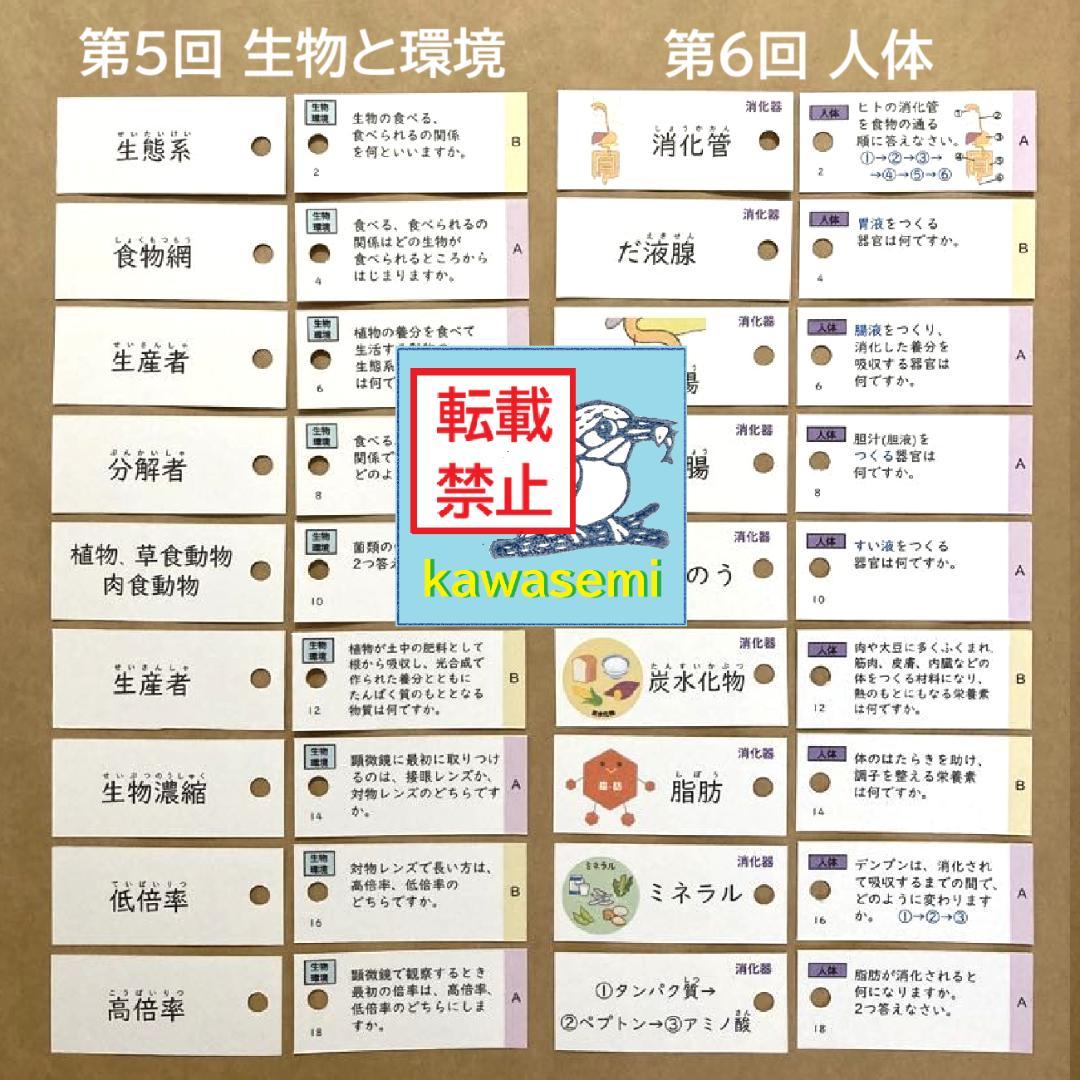 カット済【中学受験】理科の基本事項 理科 生物セット 暗記カード 早稲アカc
