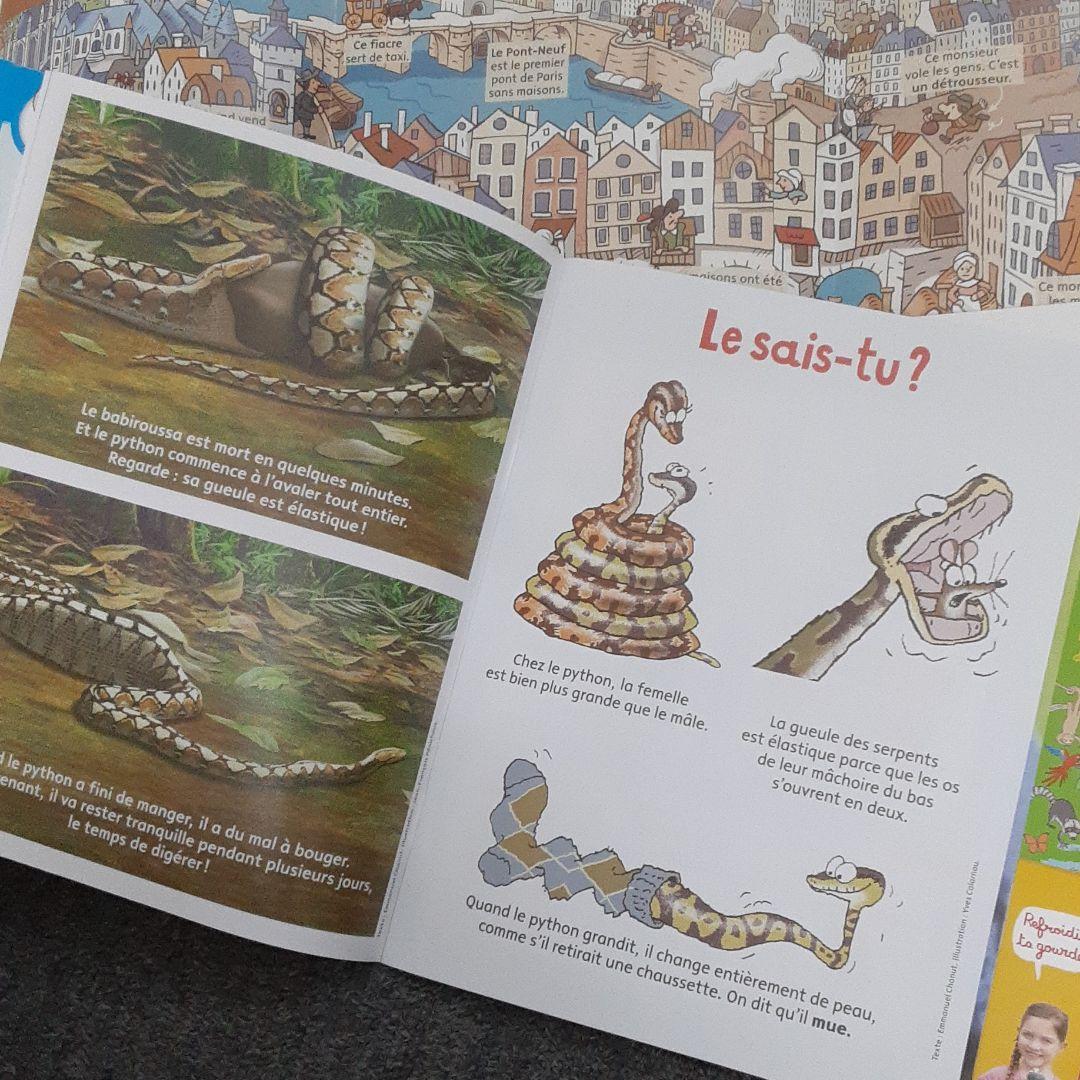 Youpi J’ai compris 11冊　フランス語