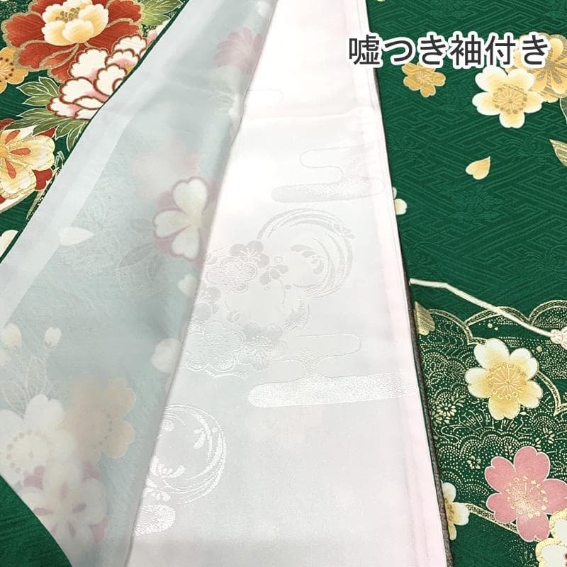 【破格セール！】505z2〇高身長な方にも 振袖 古典柄 嘘つき袖〇美品 成人式