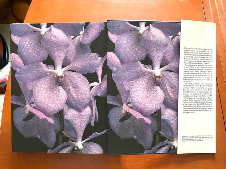 『ORCHIDS』ALEC PRIDGEON