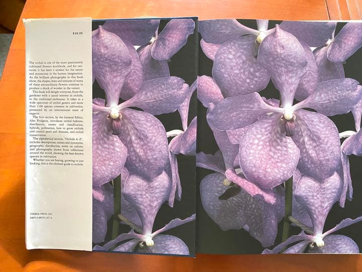 『ORCHIDS』ALEC PRIDGEON