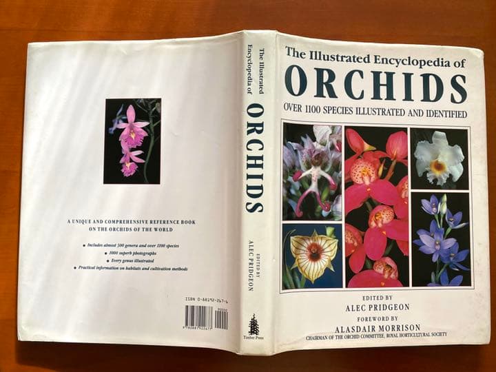 『ORCHIDS』ALEC PRIDGEON