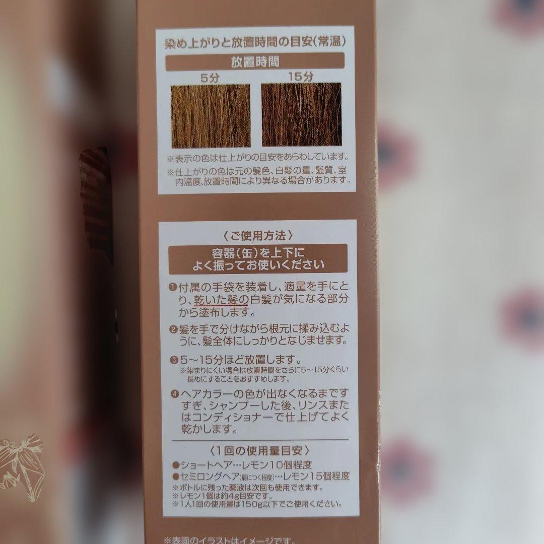 ヘアボーテ エクラ ボタニカル エアカラーフォーム　ライトブラウン　150g２個