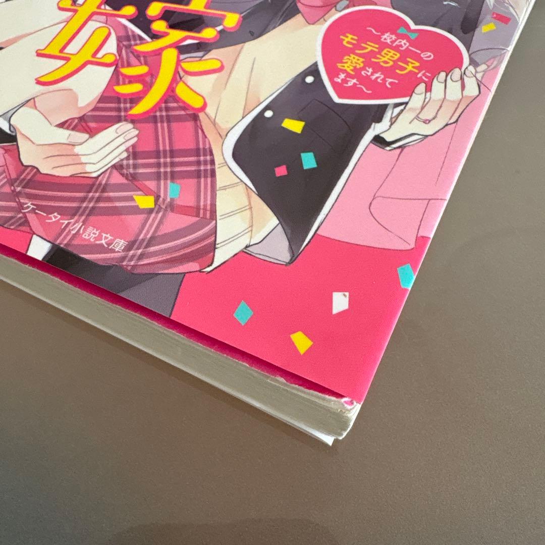 野いちご文庫　恋愛小説　総長さま、溺愛中につき。など　セット　31冊