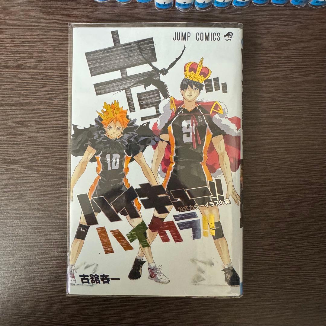 ハイキュー!! 31巻〜45巻 ＋ 関連本2冊
