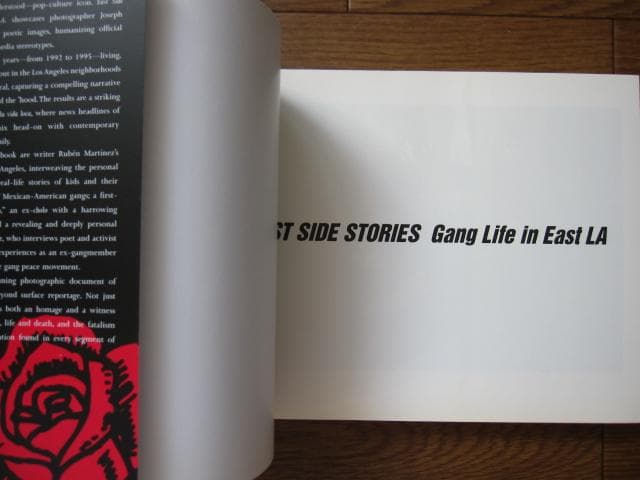 アート・デザイン・音楽 East Side Stories Gang Life in East L.A.