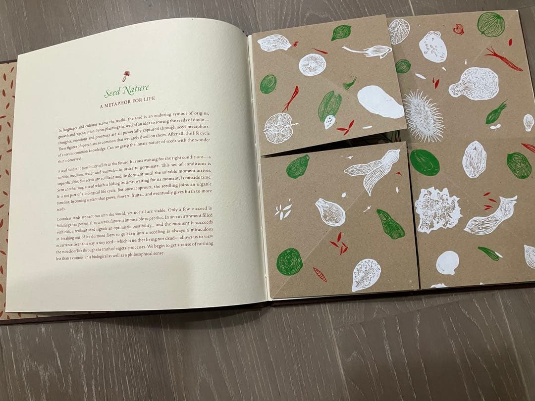 「SEED 」Gita Wolf他著Tarabooks インド限定品　日本未販売