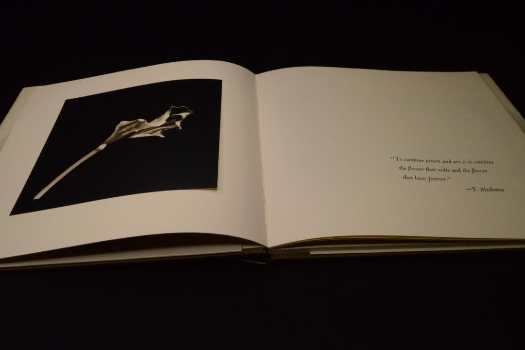 Robert Mapplethorpe: Patti Smith 値下げしました