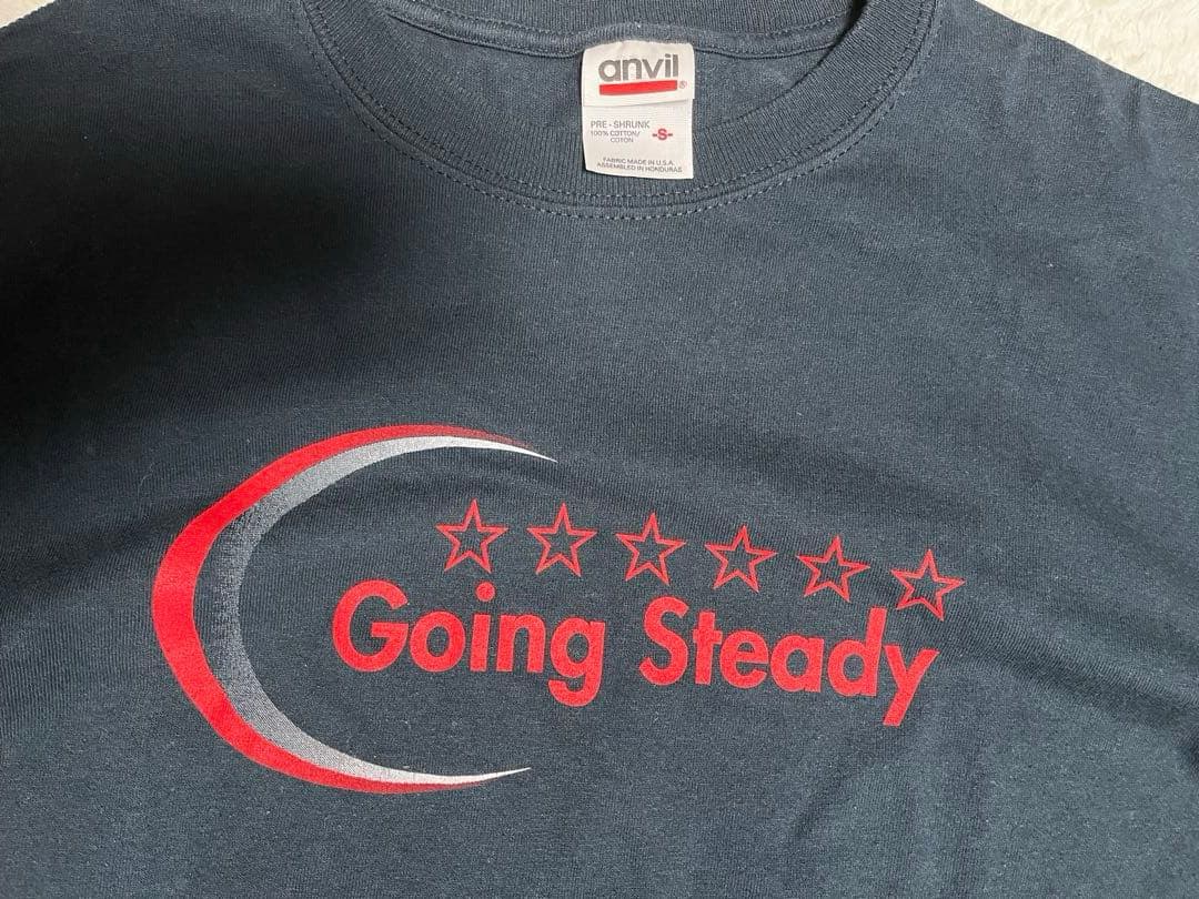 going steady ゴーイングステディ 銀杏ボーイズ　tシャツ S