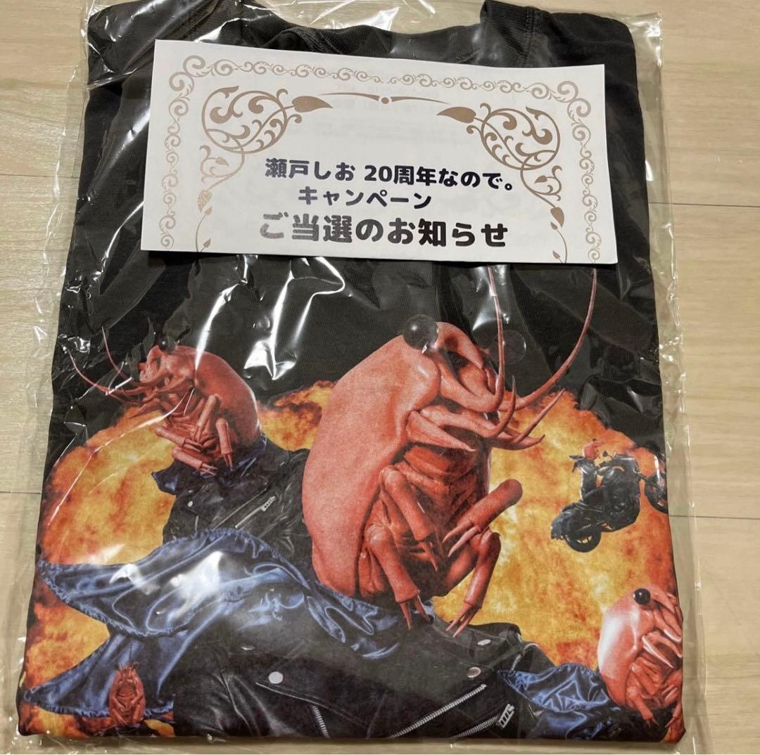 井桁弘恵 瀬戸しお 20周年 キャンペーン 当選品 Tシャツ