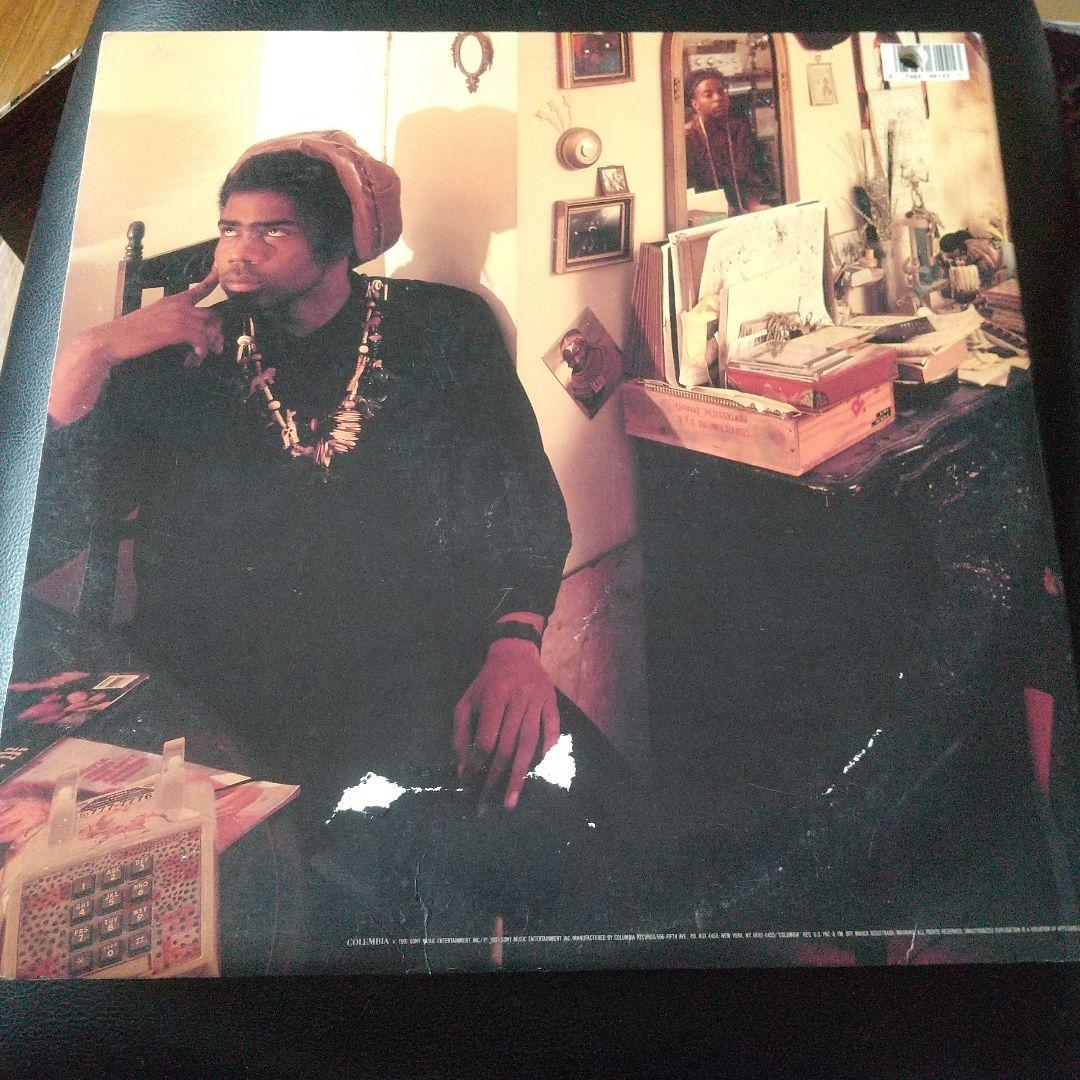 FISHBONE スカ funk コロンビア オリジナル盤　2LP レコード