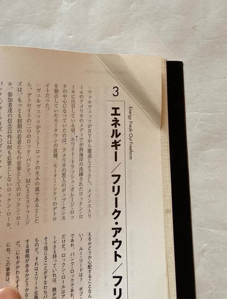 ペーパーバック ルーツオブニューヨークパンク/クリントン ヘイリン他