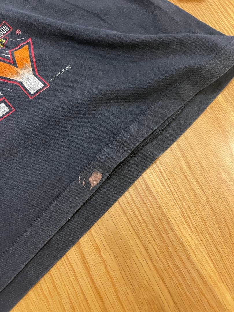 90s Harley davidson Tシャツ　ハーレー　ヴィンテージTシャツ