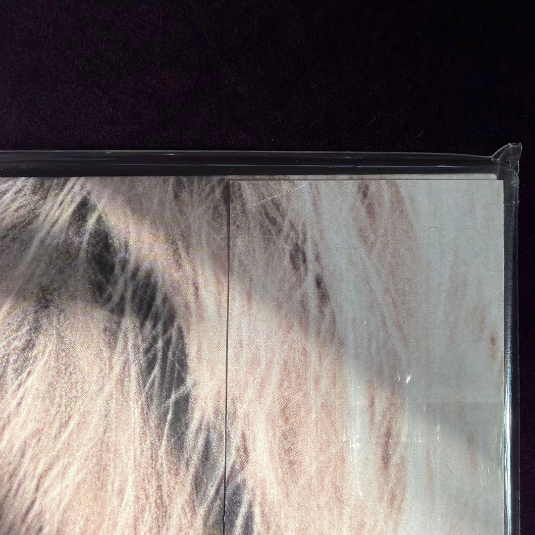 カネコアヤノ 『燦々』 LPレコード 1stプレス