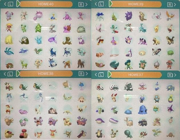 中古　ポケモン　ウルトラサン　図鑑コンプリート全807種類　色違い全種　育成済