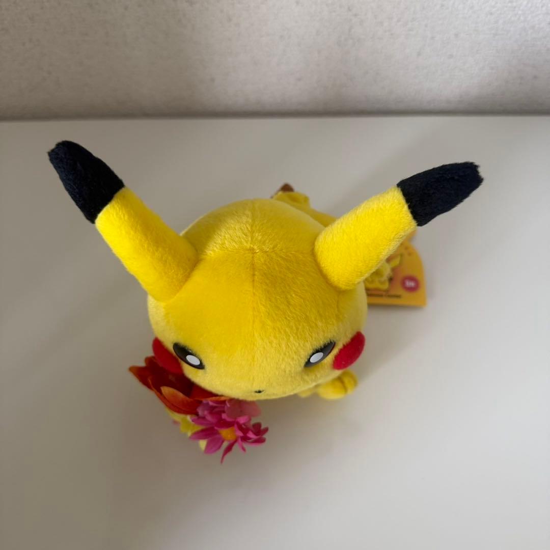 ポケモン　ポケットモンスターマンスリーピカチュウ2003年3月①