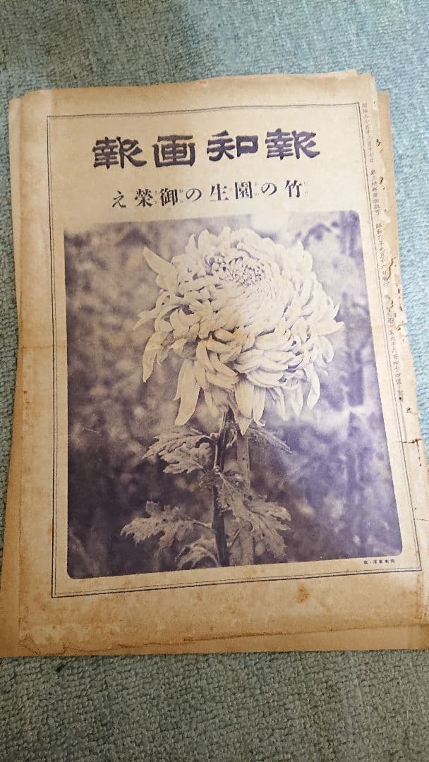 大正 昭和 画報