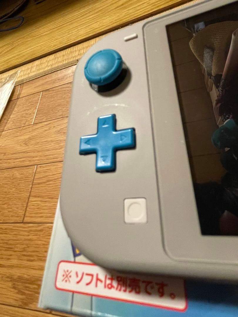 【ジャンク品】Nintendo Switch Lite ザシアン・ザマゼンタ