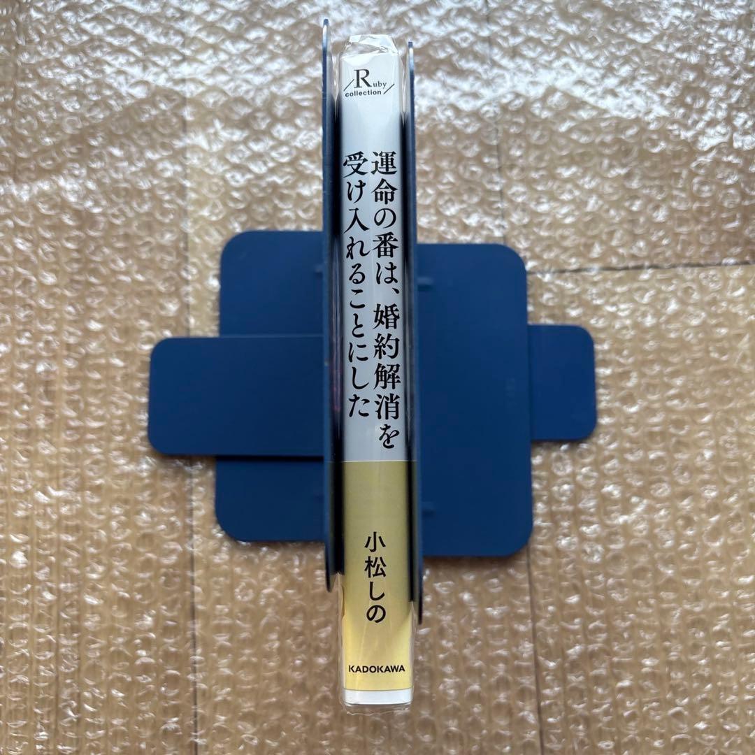 SS小冊子付き 運命の番は、婚約解消を受け入れることにした