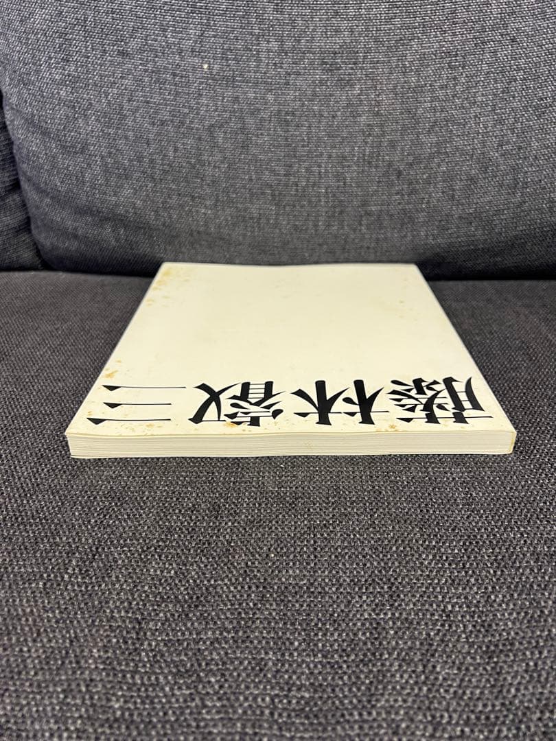 2002年　藤林叡三 画集 日本画・油彩作品集 武蔵野美術協力