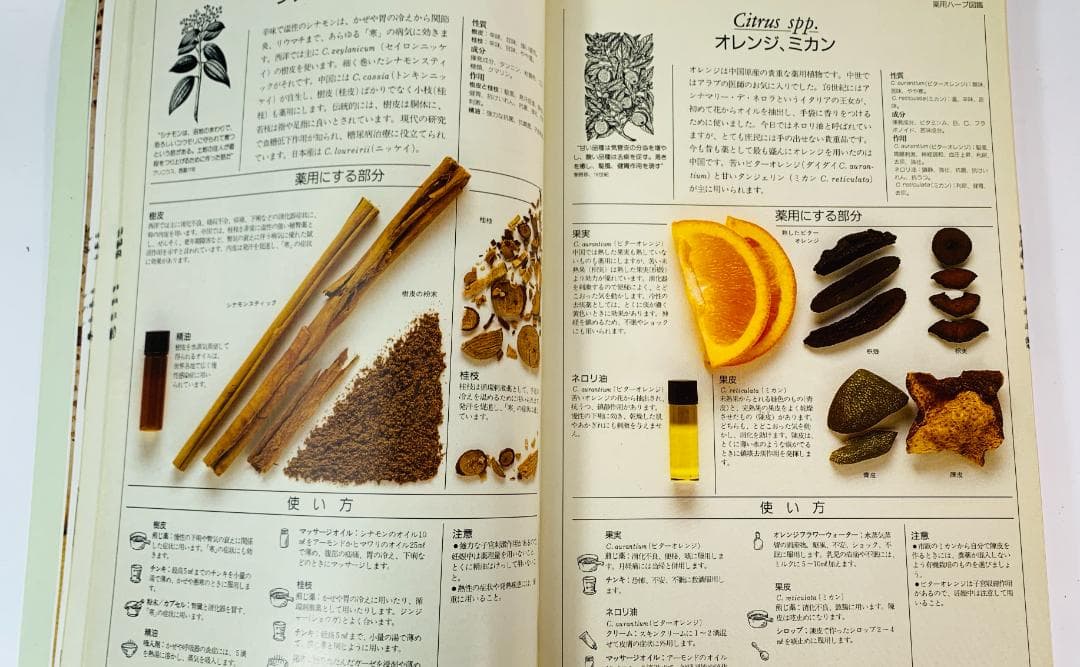 1996年◆ 英国ハーブソサエティ◆メディカルハーブ：薬用ハーブ完全図解ガイド