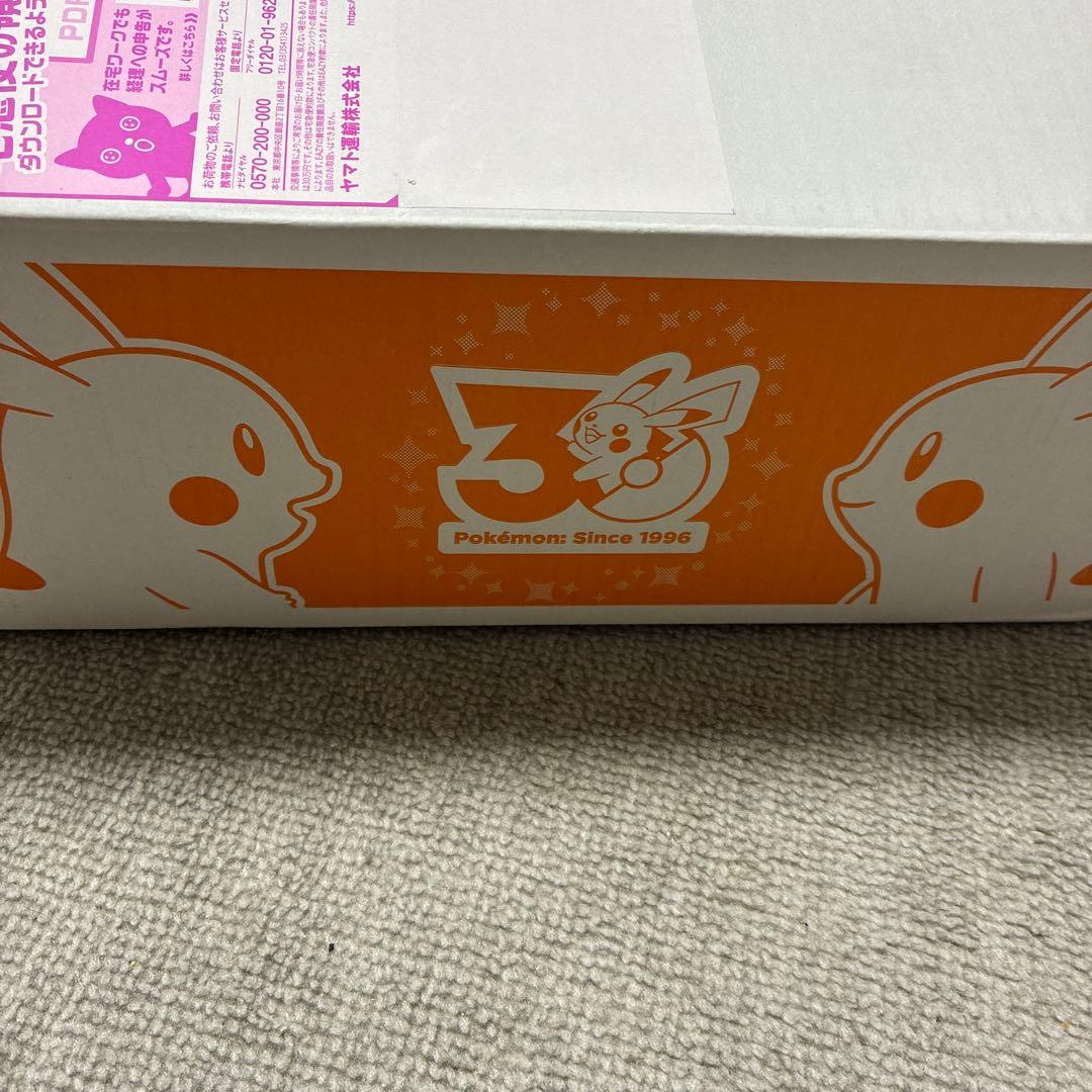 ピカチュウ 30周年記念 ぬいぐるみ、マスコット　2体セット　即日発送