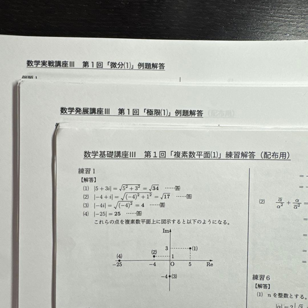 鉄緑会 数学基礎/発展講座Ⅲ 数学実戦講座Ⅲ 例題解答プリント