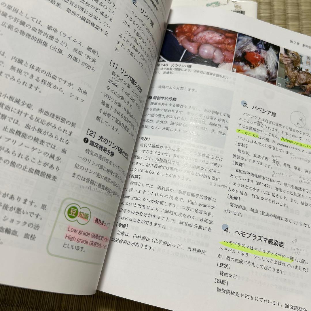 動物看護 教科書まとめ売り 6冊セット コアテキスト 解剖生理学 栄養学