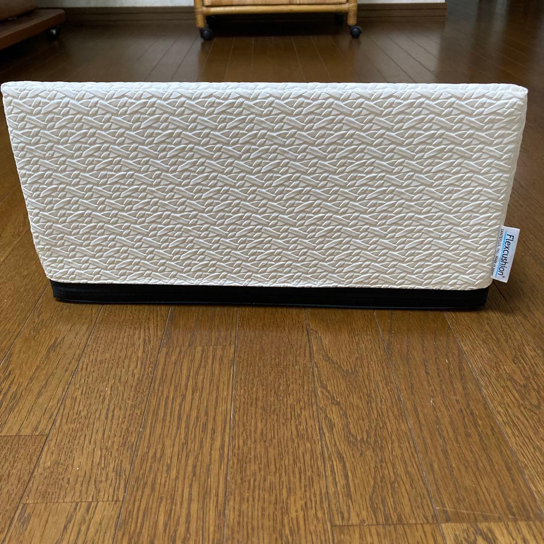 SANTEPLUSフレックスクッション DVD付き
