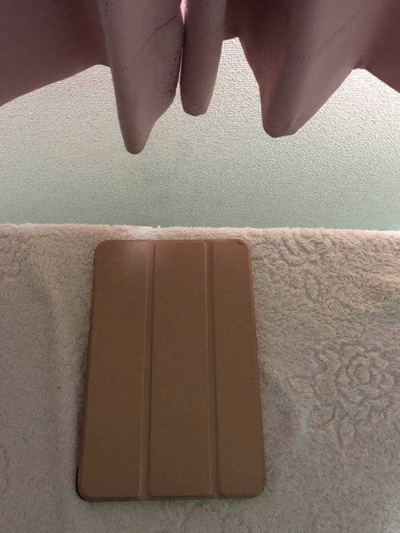 超美品iPad mini 第5世代 Cellular 256GBオマケ沢山付き