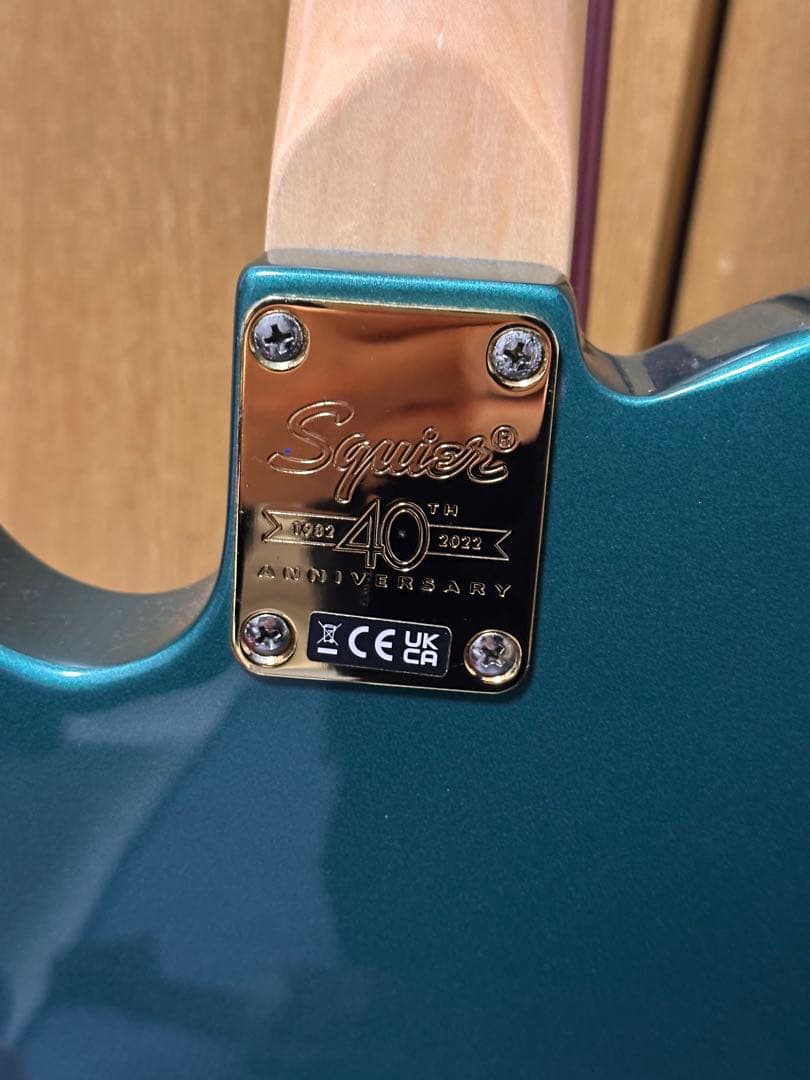 断捨離母 40th Anniversary Telecaster