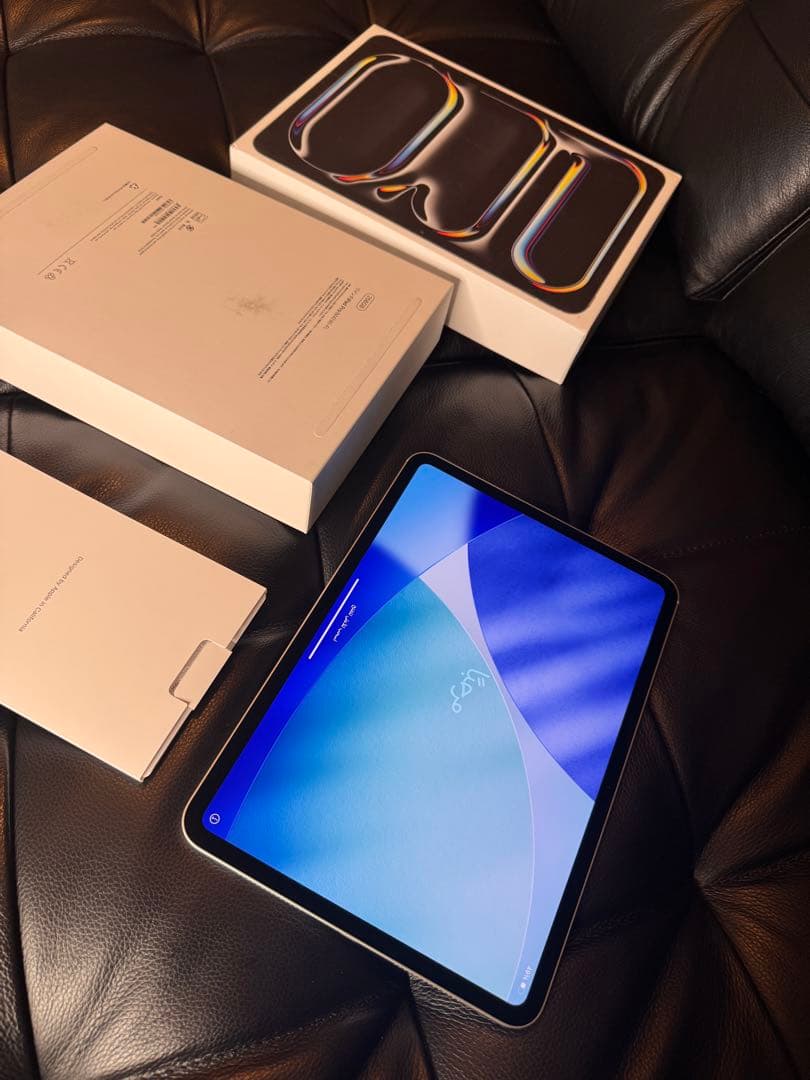 iPad本体 iPad Pro (M4) 11 inch Wi-Fi 256GB(A2836)