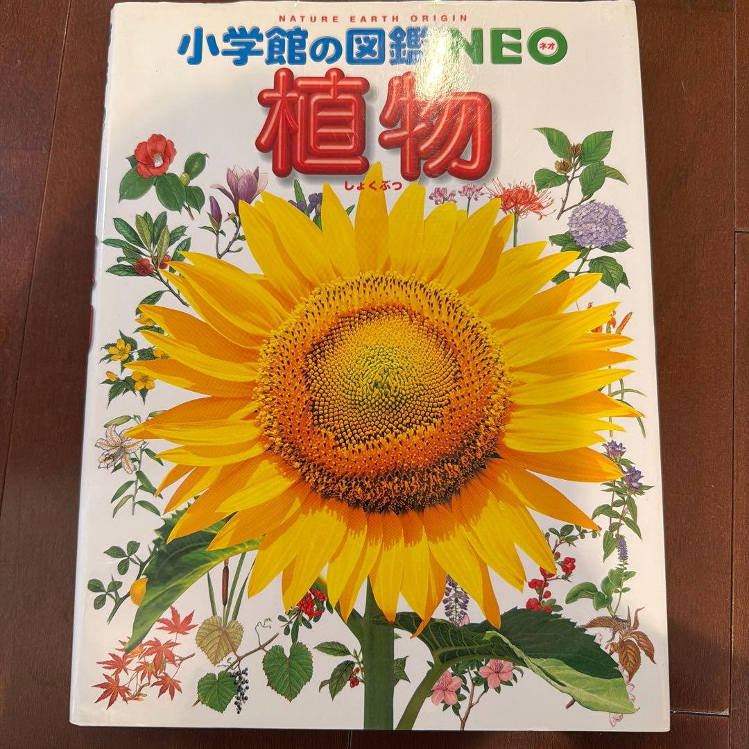 小学館の図鑑NEO 昆虫・恐竜・動物図鑑他